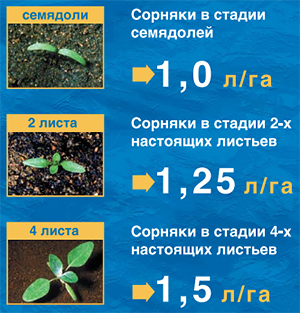 Норма расхода