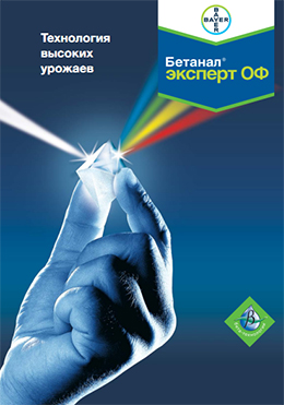 Бетанал Эксперт ОФ