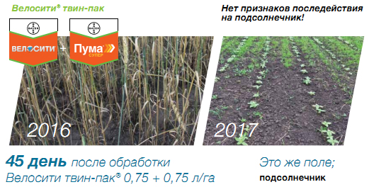 Чистит поле от сорняков
