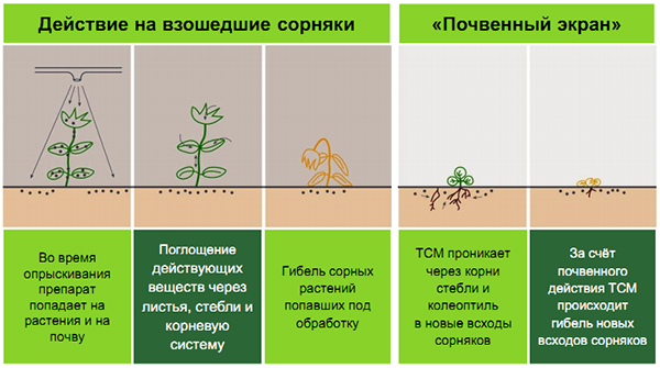 Принцип действия ВЕЛОСИТИ