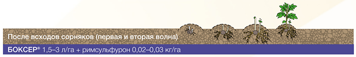 Схема 2