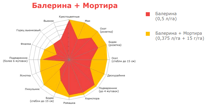 Балерина + Мортира