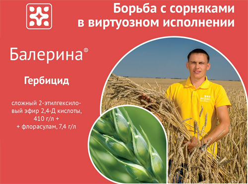 Гербицид Балерина