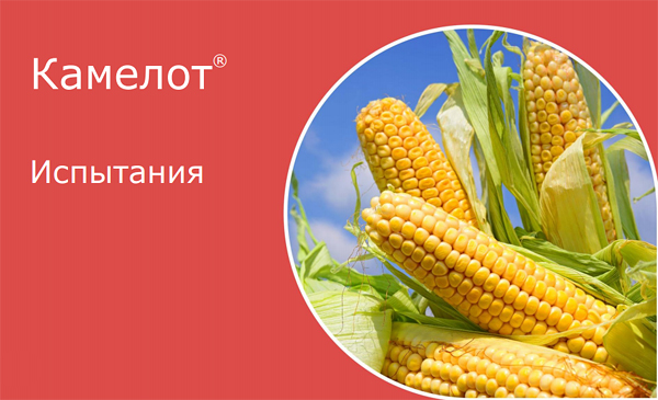 Испытания