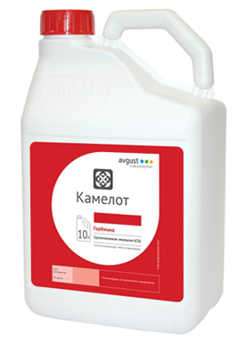 Камелот