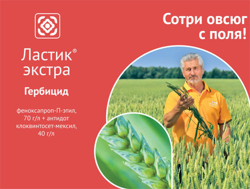 Гербицид Ластик Экстра