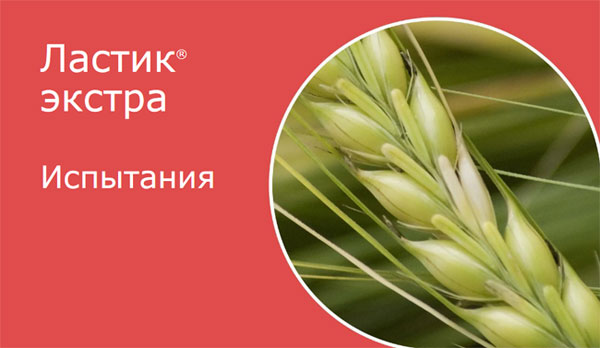 Испытания