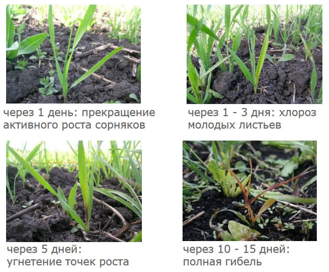 Симптомы воздействия
