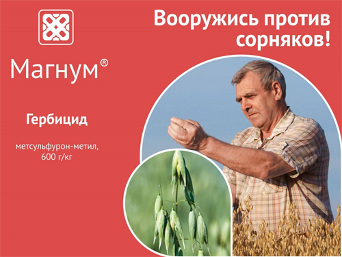 Магнум