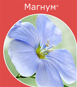 Магнум
