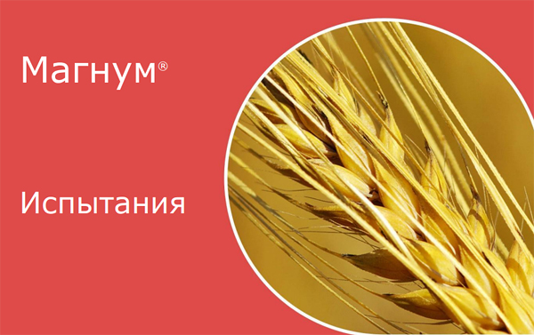 Испытания