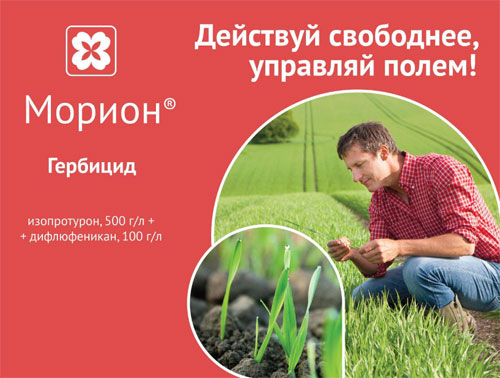 Гербицид Морион
