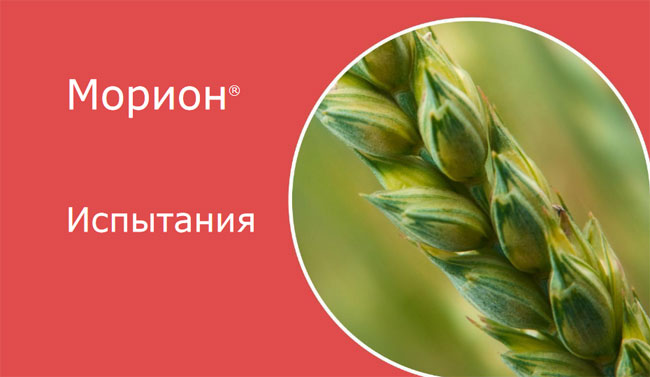 Испытания