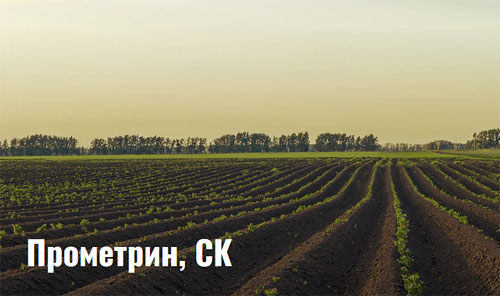 Гербицид Прометрин