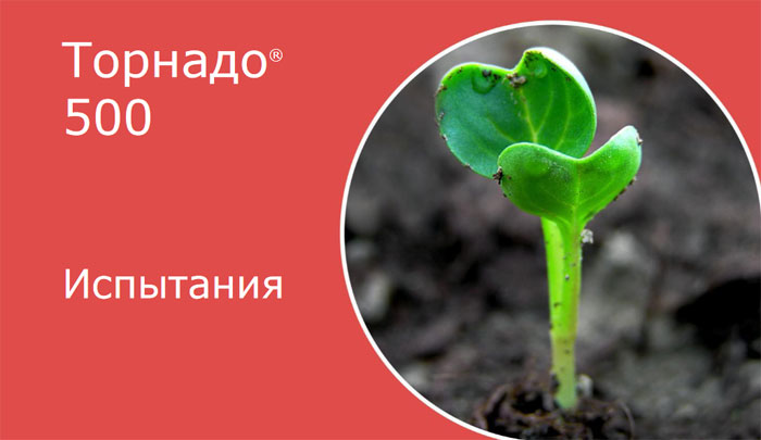 Испытания