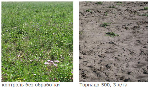 Результаты применения через 28 суток