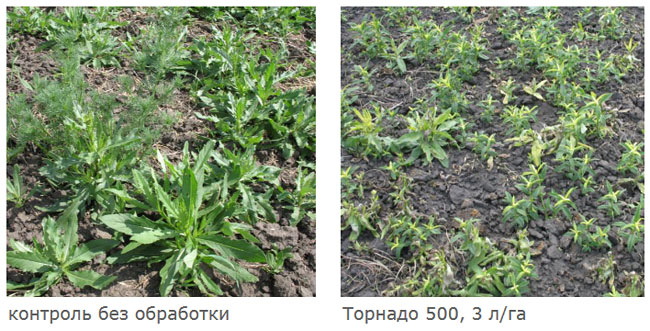 Результаты применения через 5 суток