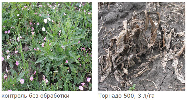 Результаты применения