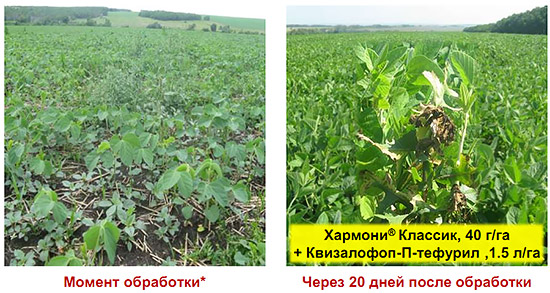 Эффективность обработки