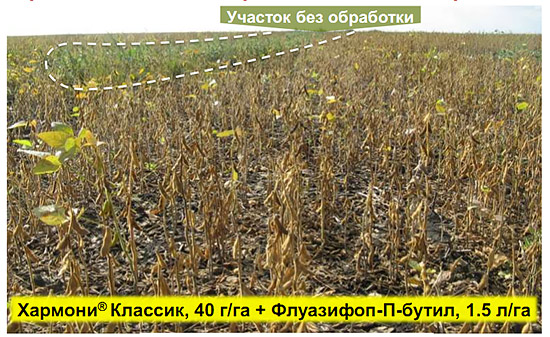 Эффективность обработки