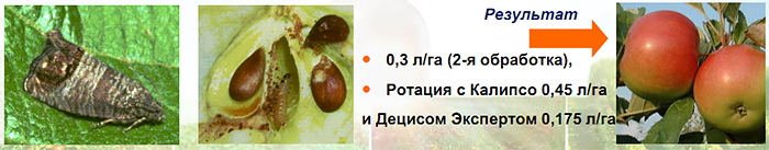 Результат