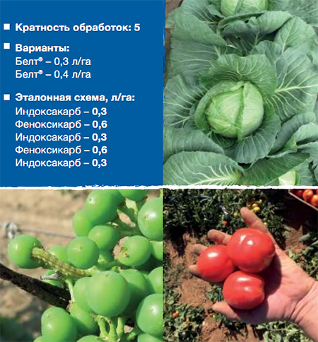 Овощи