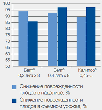 Листовертка ивово-кривоусая