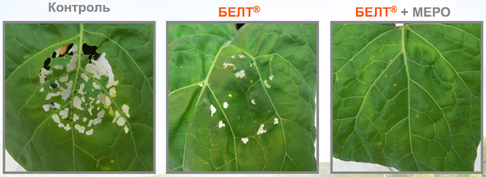 Контроль