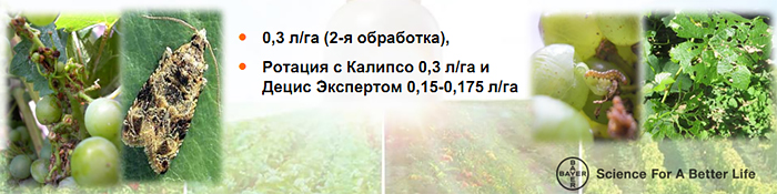 Против гроздевой листовертки