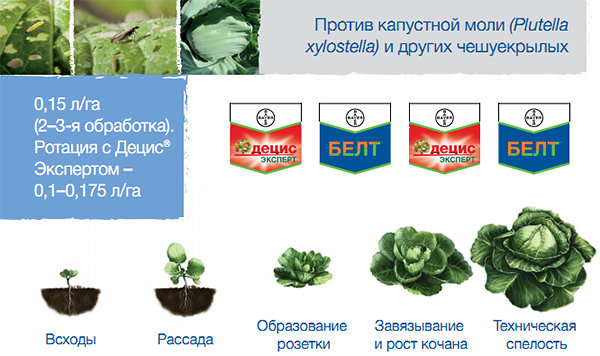 Против капустной моли