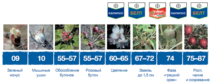 Против яблонной плодожорки