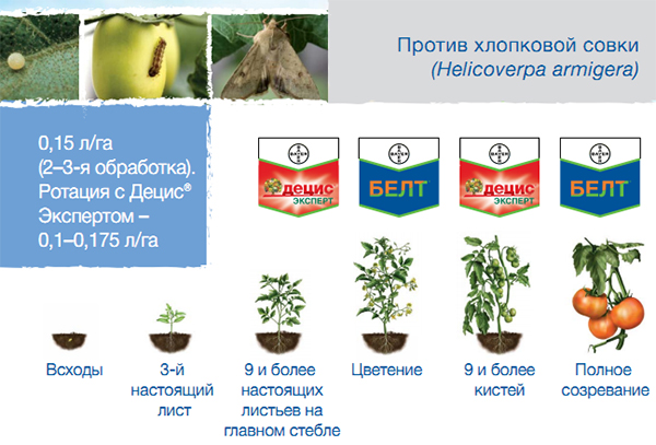 Против хлопковой совки