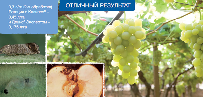 Результат