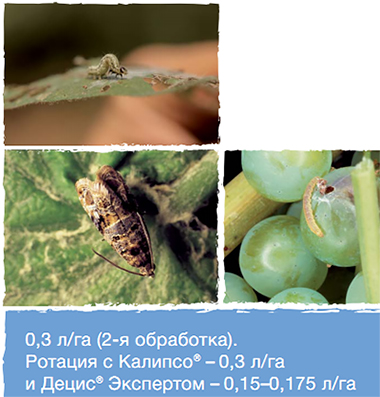 Результат