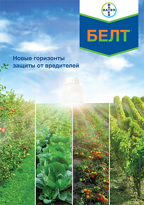Белт