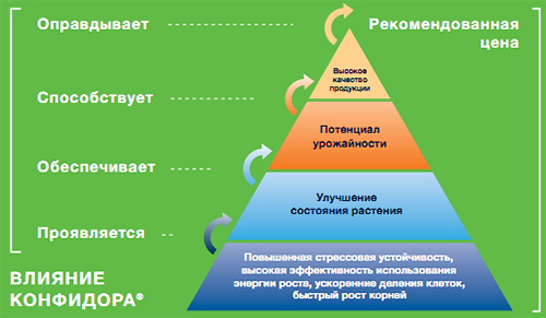 Пирамида