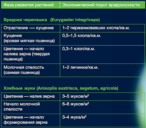 Таблица