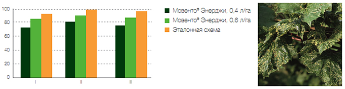 Против гроздевой листовертки
