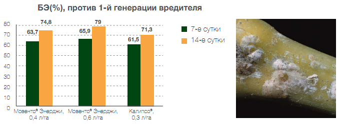 Против щитовок
