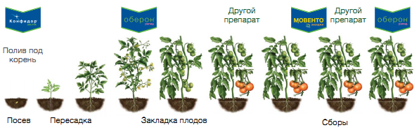 В защищенном грунте на овощных культурах