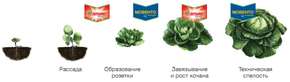 Против тли, трипса