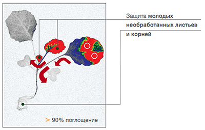 Распределение Мовенто Энерджи