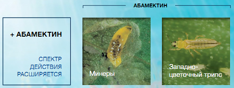 Абамектин