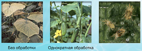 Контроль обработки
