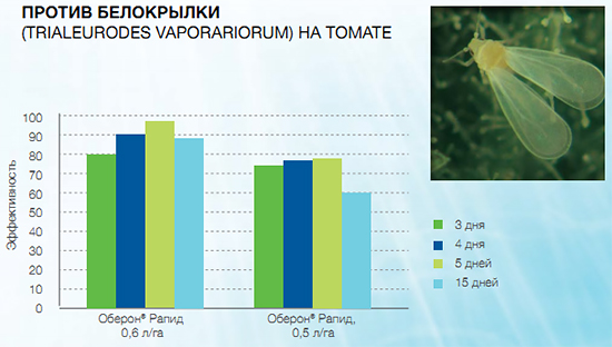 Против белокрылки