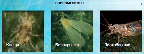 Спиромезифен
