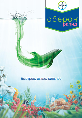 Оберон Рапид