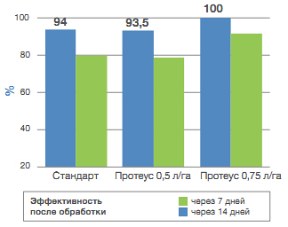 График