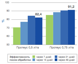 График