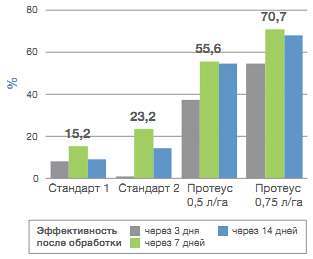 График